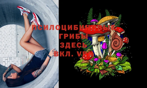 метамфетамин Алексин