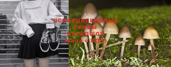 метамфетамин Алексин