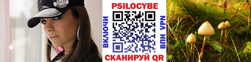 Псилоцибиновые грибы Cubensis  блэк спрут ONION  Камешково  купить наркотики цена 